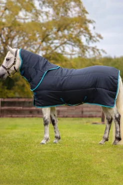 Online Amigo Insulator Pony Plus, 200g. Pony Rugs|Pony Rugs