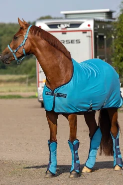 Clearance Amigo Jersey Cooler Fleece Horse Rugs & Cooler Rugs