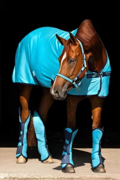 Clearance Amigo Jersey Cooler Fleece Horse Rugs & Cooler Rugs
