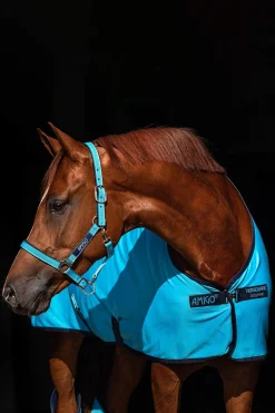 Clearance Amigo Jersey Cooler Fleece Horse Rugs & Cooler Rugs