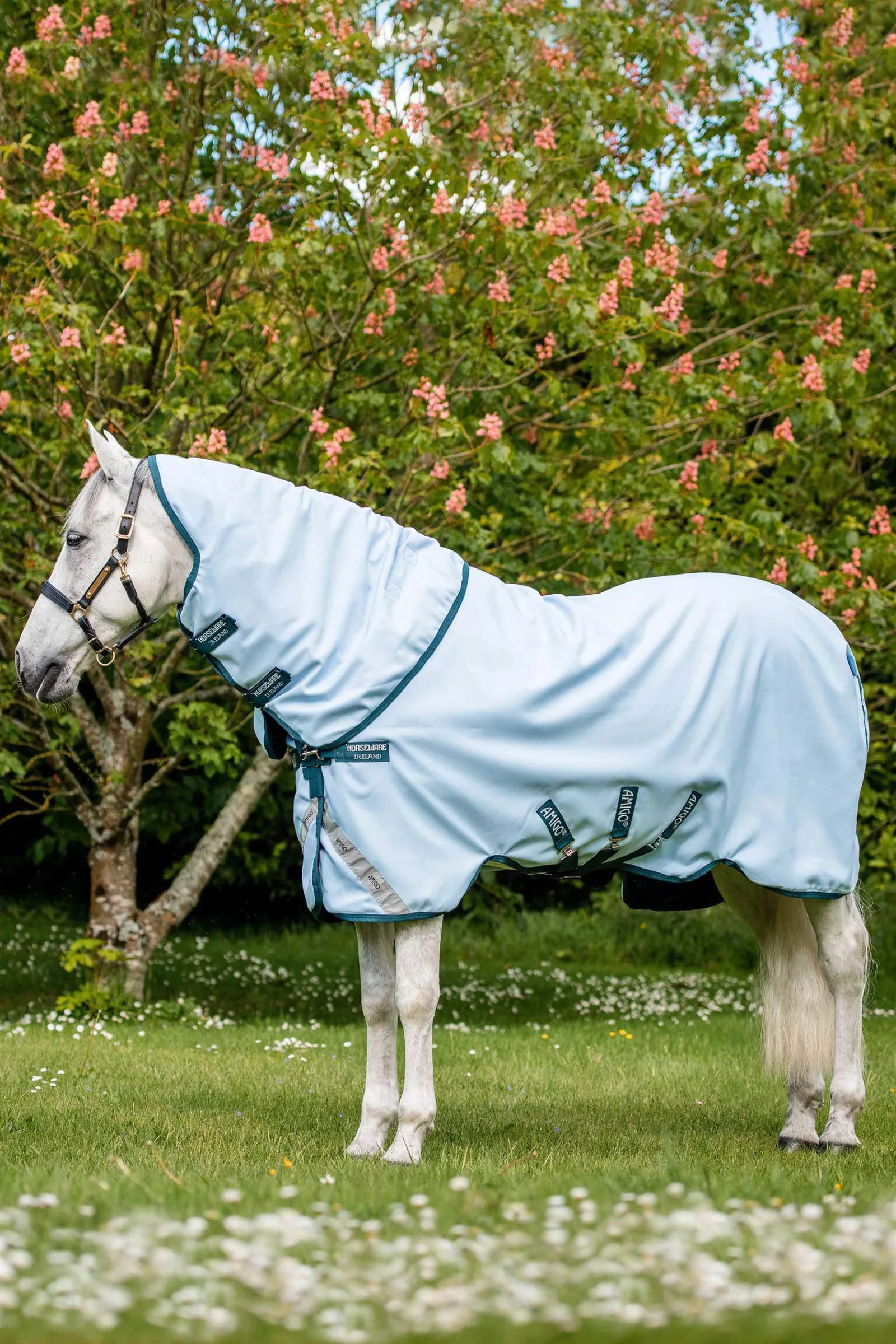 Discount Amigo Plant Dye Turnout Rug, 50g Lightweight Turnout Rugs