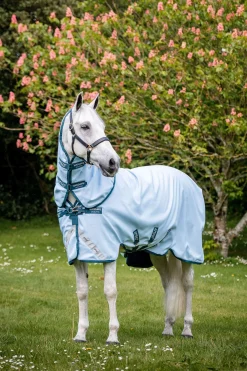 Discount Amigo Plant Dye Turnout Rug, 50g Lightweight Turnout Rugs