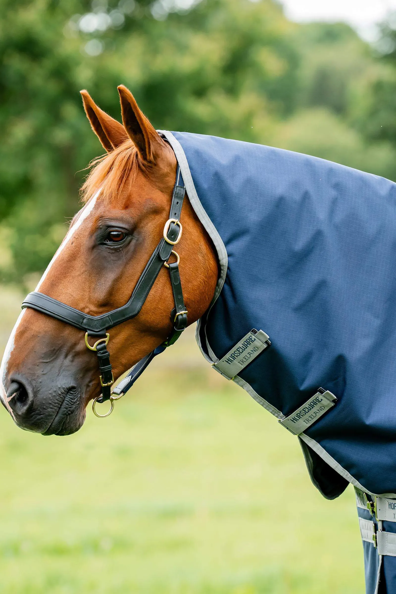 Best Amigo Ripstop 900 Plus 200g Medium & Heavyweight Turnout Rugs