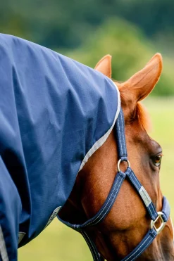 Best Amigo Ripstop 900 Plus 200g Medium & Heavyweight Turnout Rugs