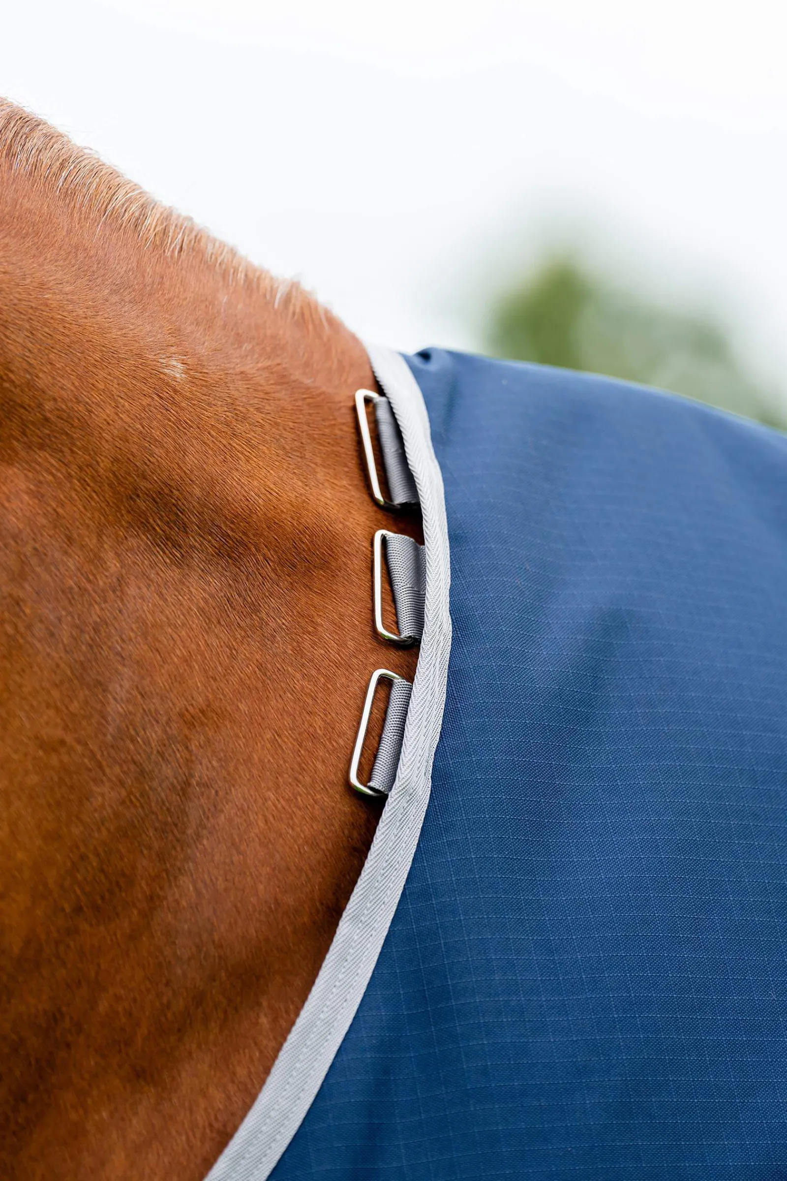 Best Amigo Ripstop 900 Plus 200g Medium & Heavyweight Turnout Rugs