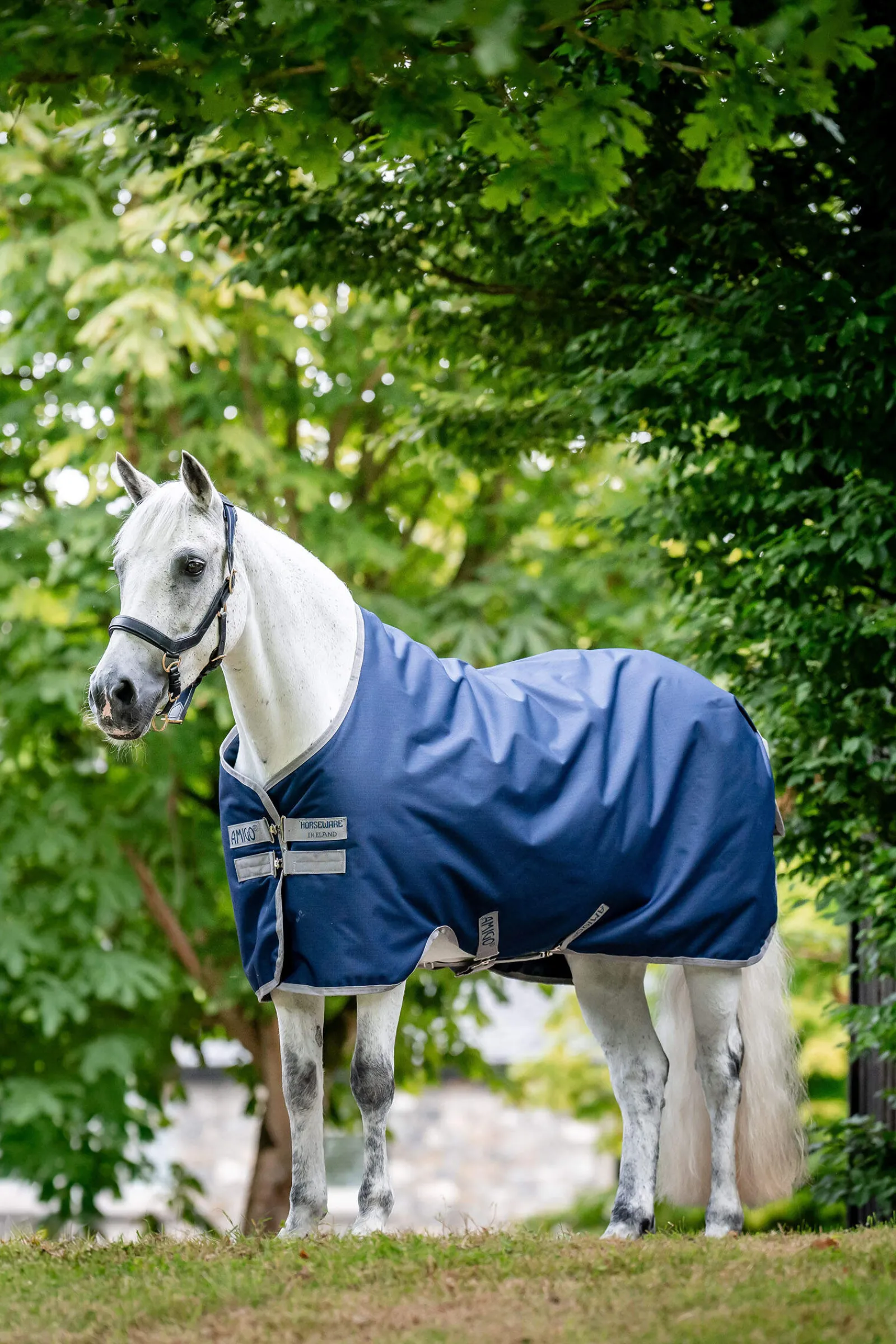 Best Amigo Ripstop 900D Turnout 0g Lightweight Turnout Rugs