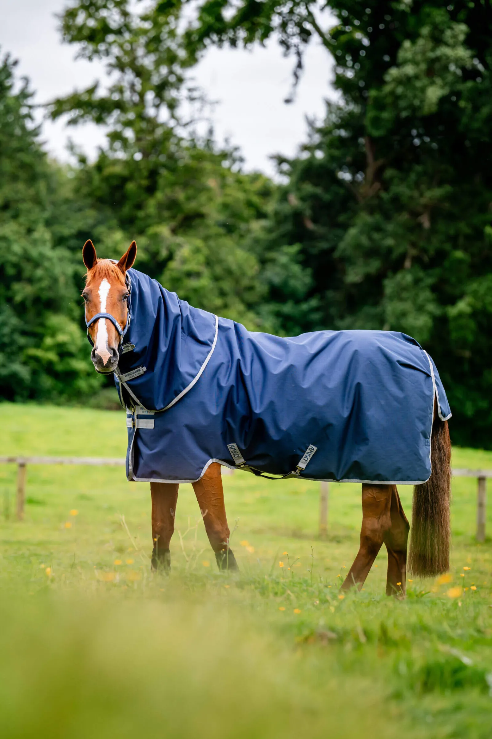 Online Amigo Ripstop 900D Plus Turnout 100g Lightweight Turnout Rugs