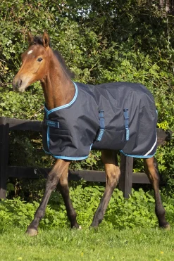 Outlet Amigo Ripstop Foal Rug, 50g Pony Rugs|Pony Rugs