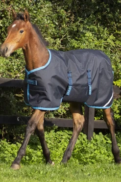 Outlet Amigo Ripstop Foal Rug, 50g Pony Rugs|Pony Rugs
