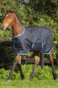 Outlet Amigo Ripstop Foal Rug, 200g Pony Rugs|Pony Rugs