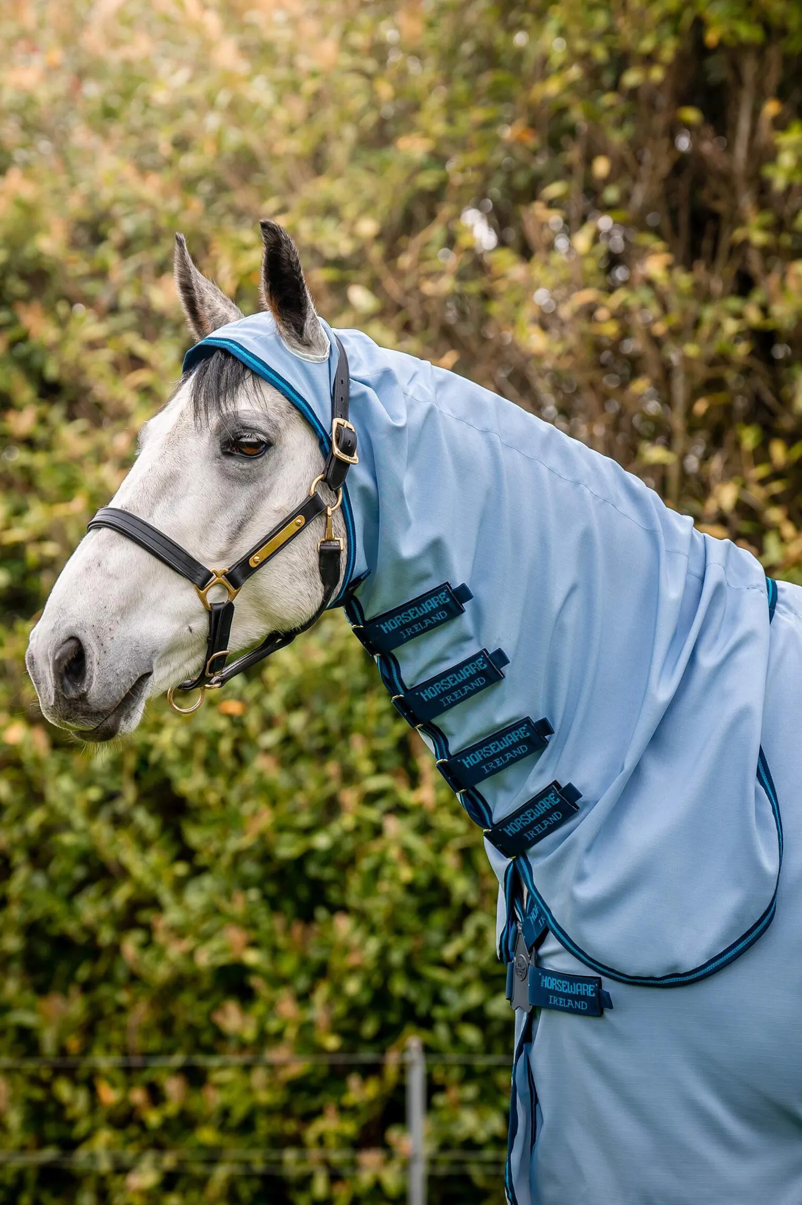 New Amigo Ripstop Hoody Eczema Rug, 0g Sweet Itch Rugs|Sweet Itch Rugs
