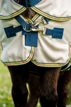 Best Amigo Ripstop Petite Hoody Pony Rugs|Pony Rugs
