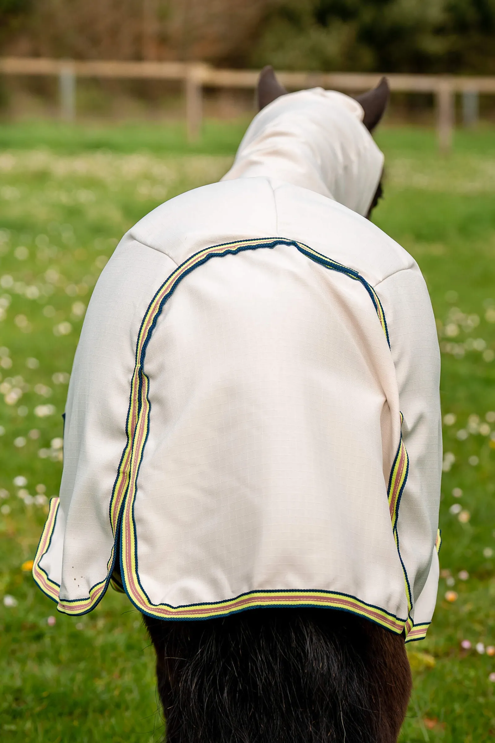 Best Amigo Ripstop Petite Hoody Pony Rugs|Pony Rugs