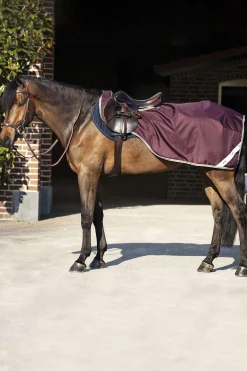 Clearance Amigo Ripstop Riding Rug Exercise Sheets & Quarter Sheets