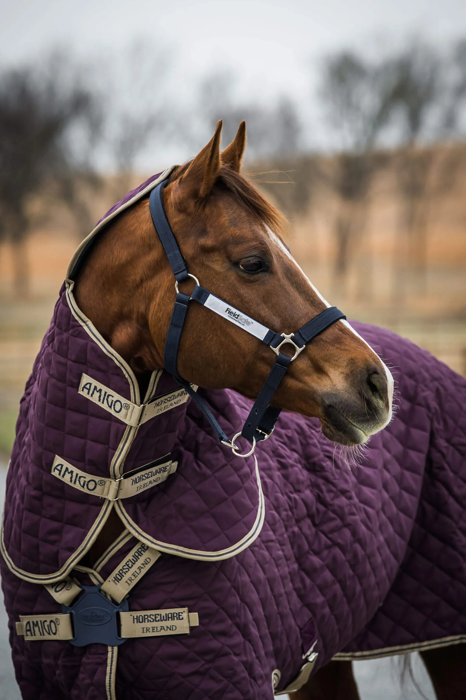 Best Amigo Stable Plus Stable Rug With Detachable Neck, 200g Stable Rugs & Liners