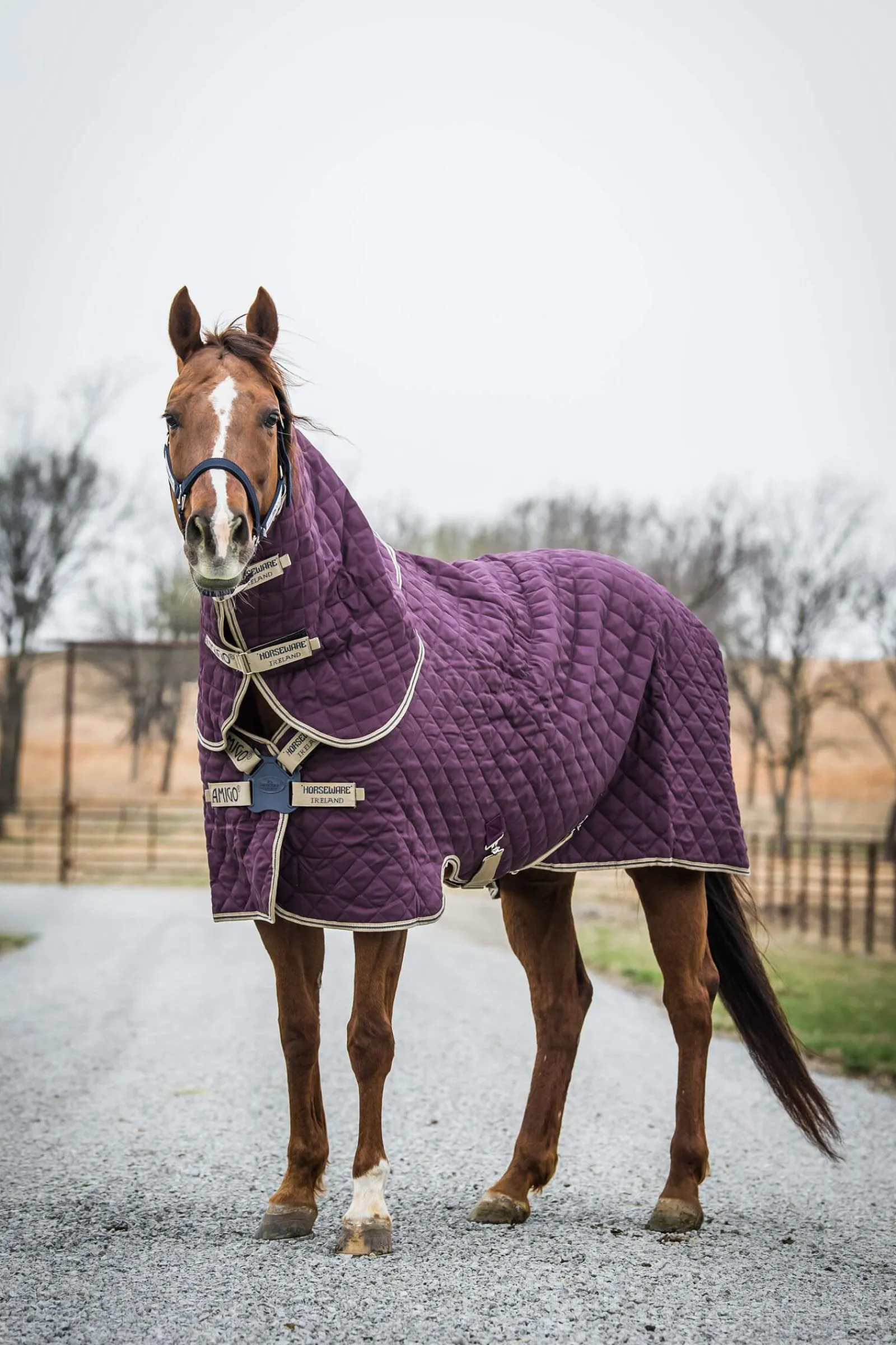 Best Amigo Stable Plus Stable Rug With Detachable Neck, 200g Stable Rugs & Liners