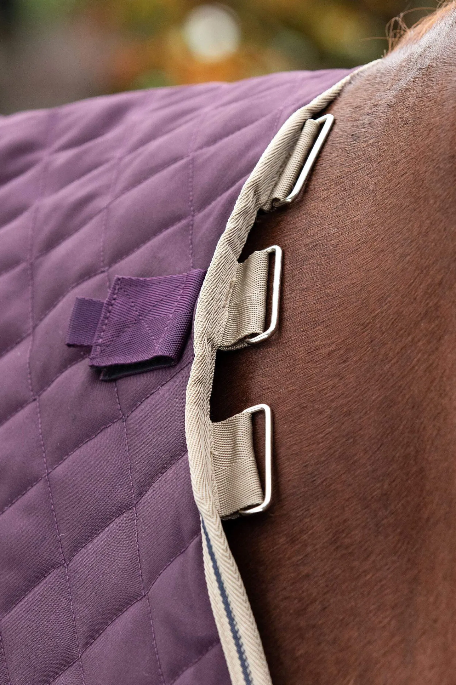 Best Amigo Stable Plus Stable Rug With Detachable Neck, 200g Stable Rugs & Liners