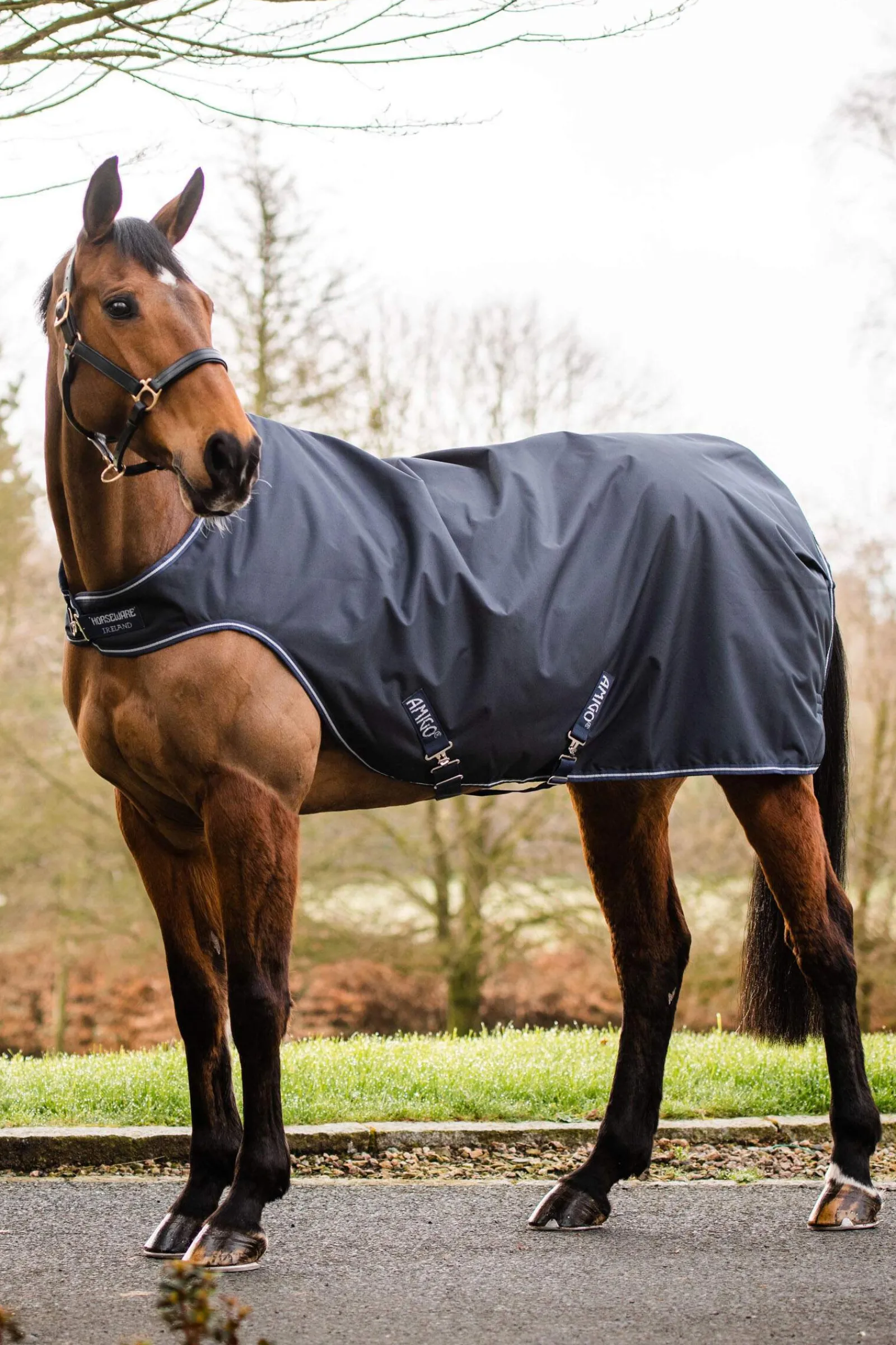Sale Amigo Walker Rug, 100g Walker Rugs|Exercise Sheets & Quarter Sheets
