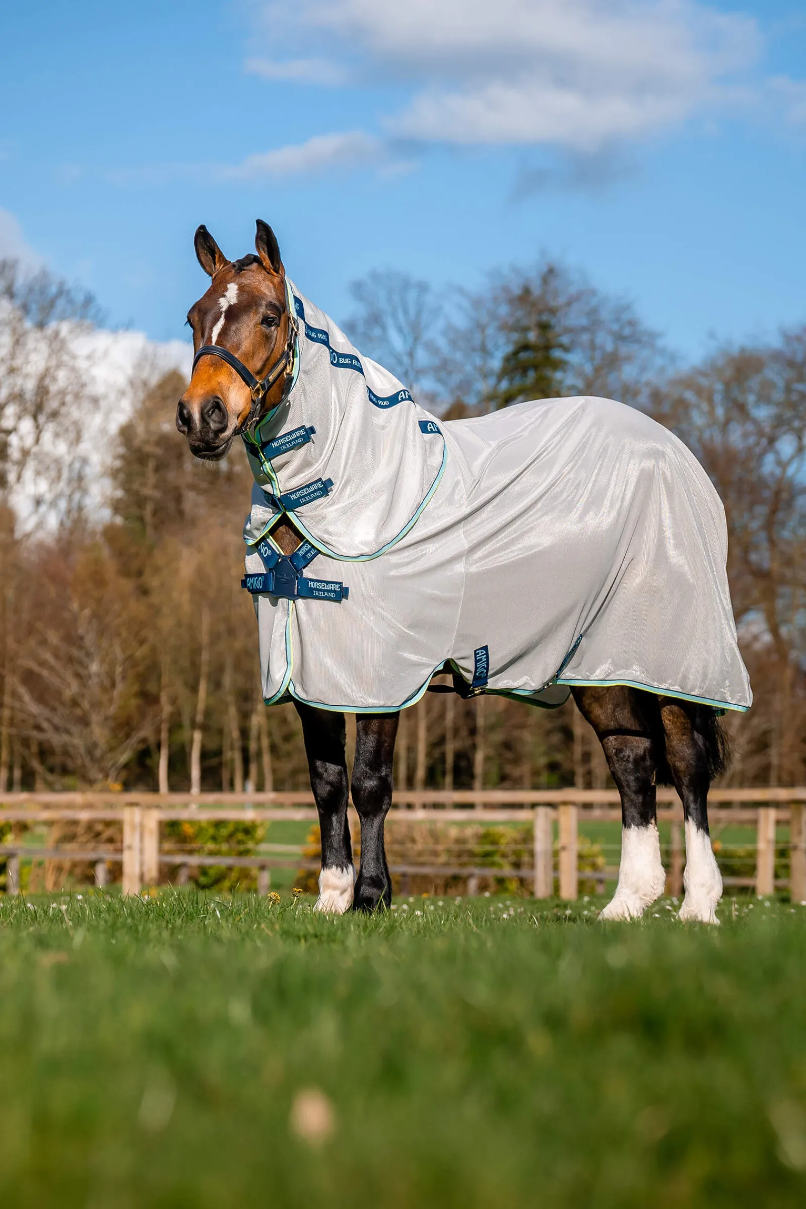 Discount Amigo XL Bug Rug With Disc Closure Fly Rugs|Fly Rugs