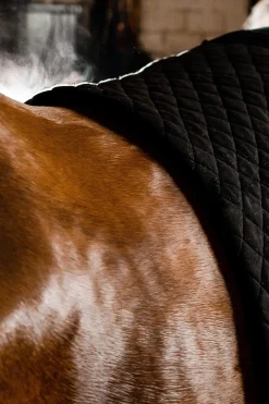 Sale Autumn Cooler Fleece Horse Rugs & Cooler Rugs