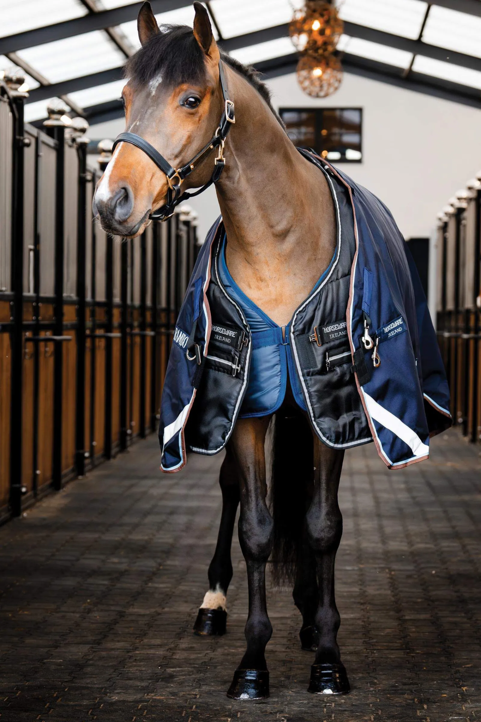 Hot Easy-Layer Stablerug 100g Stable Rugs & Liners