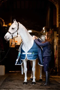 Discount Eco Liner, 200g Stable Rugs & Liners
