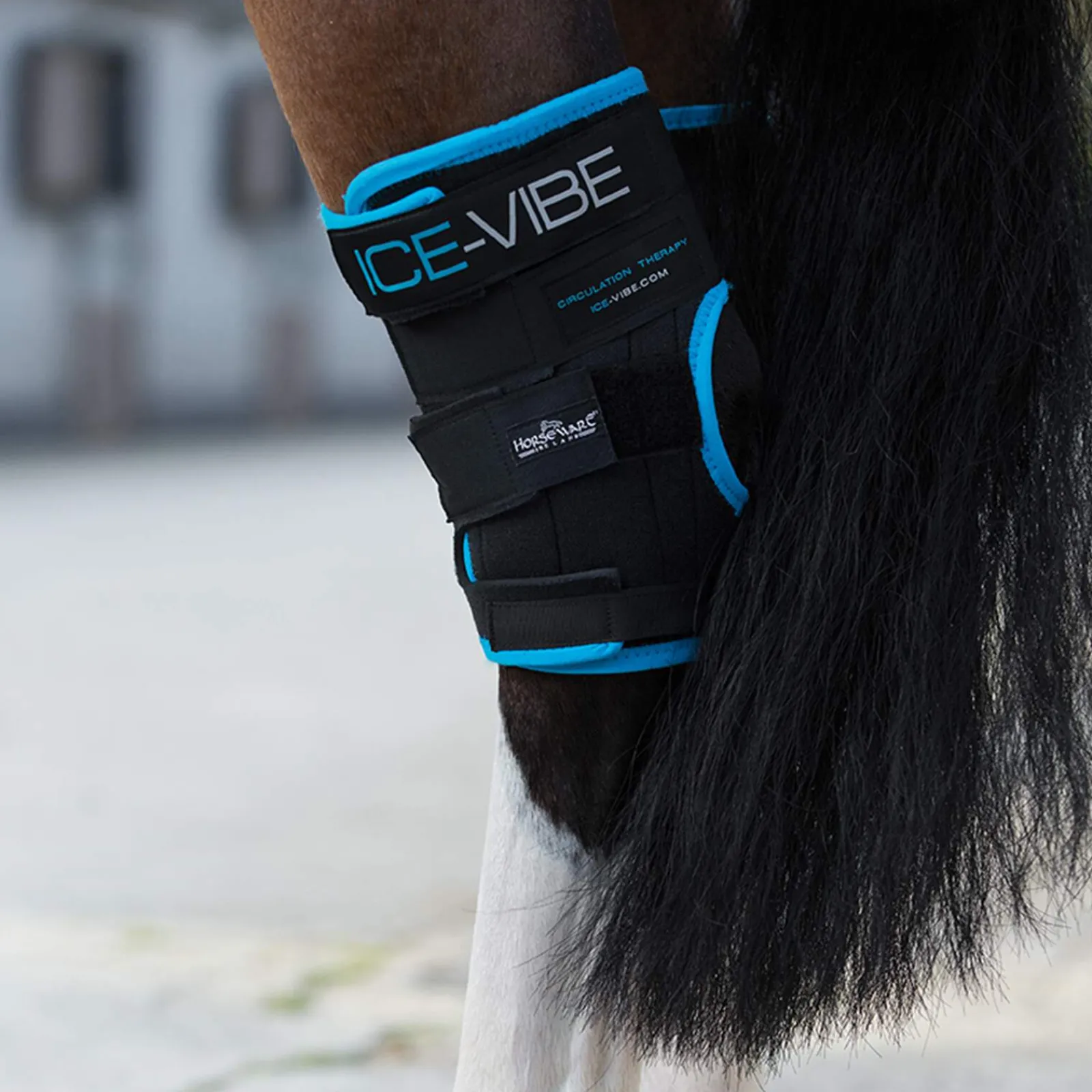 New Ice-Vibe Hock Wrap Hock & Knee Boots