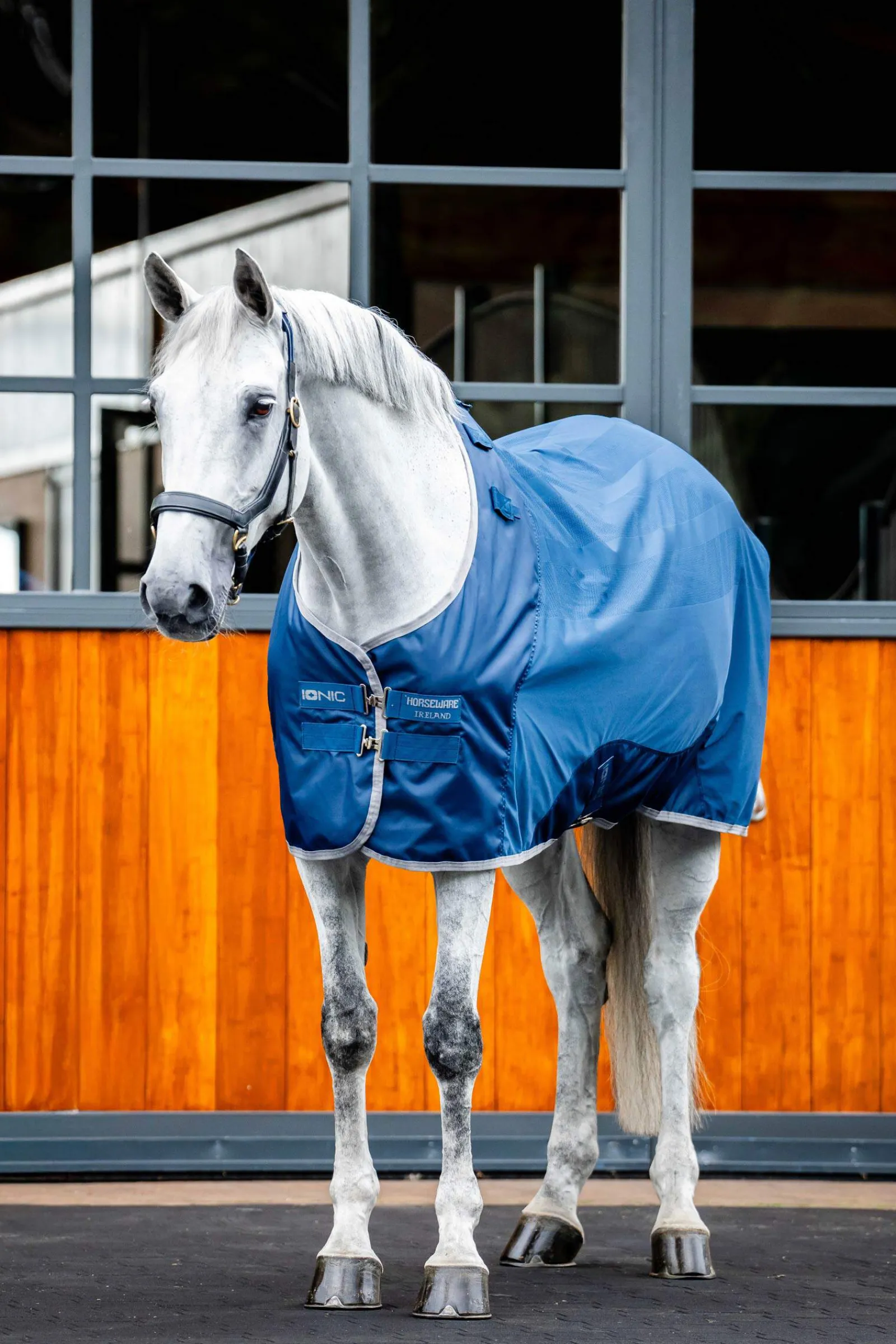 Best Ionic Therapy Mesh Cooler Rug Therapy Rugs