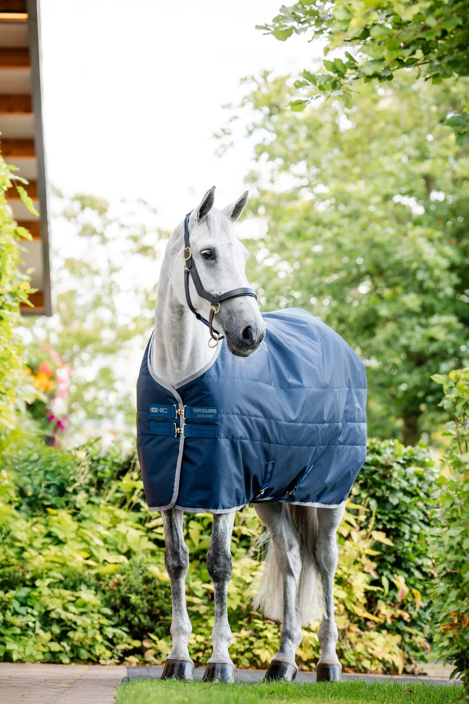 Online Ionic Therapy Stable Rug, 50g Therapy Rugs