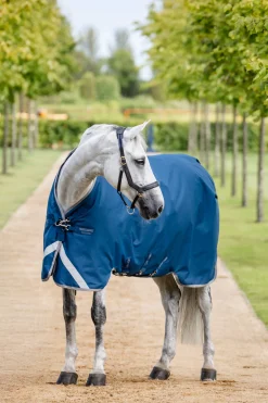 Outlet Ionic Therapy Turnout Rug, 100g Therapy Rugs