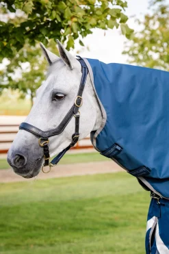New Ionic Therapy Turnout Hood 0g Therapy Rugs