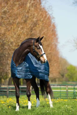 Clearance Liner 300g Stable Rugs & Liners