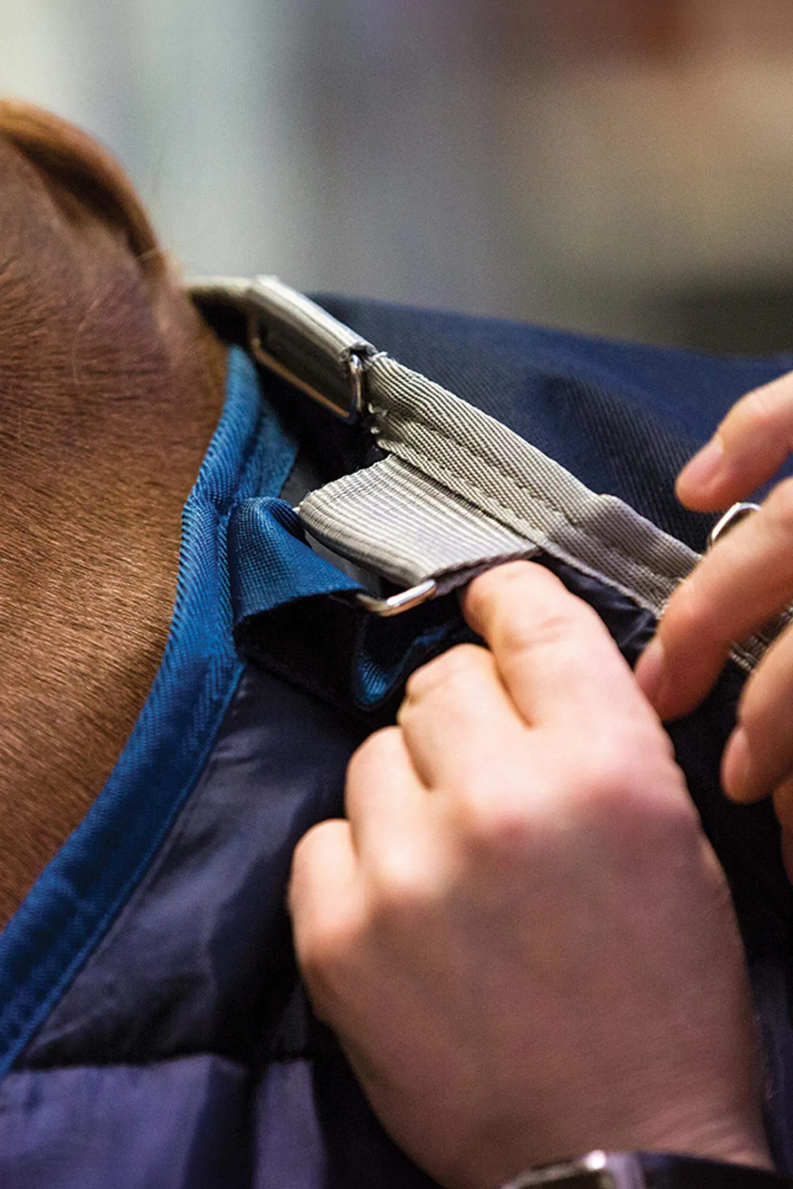Discount Liner Under Rug, 100g Stable Rugs & Liners