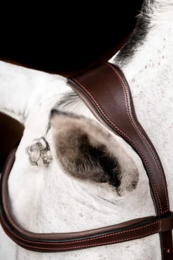 Discount Micklem 2 Competition Bridle Pony Bridles & Halters|Bridles & Nosebands
