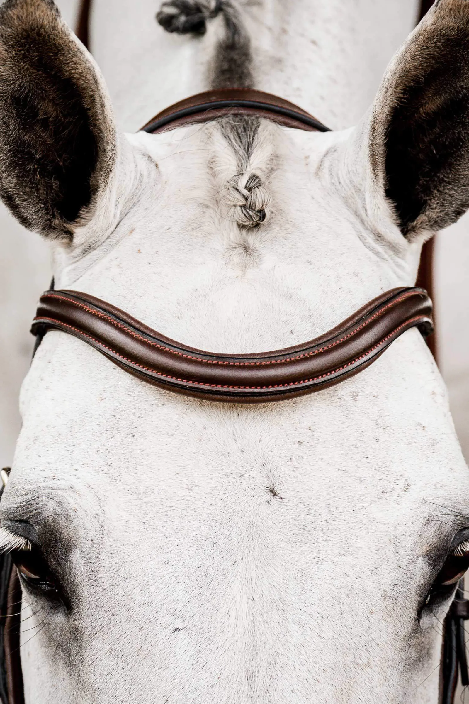 Discount Micklem 2 Competition Bridle Pony Bridles & Halters|Bridles & Nosebands