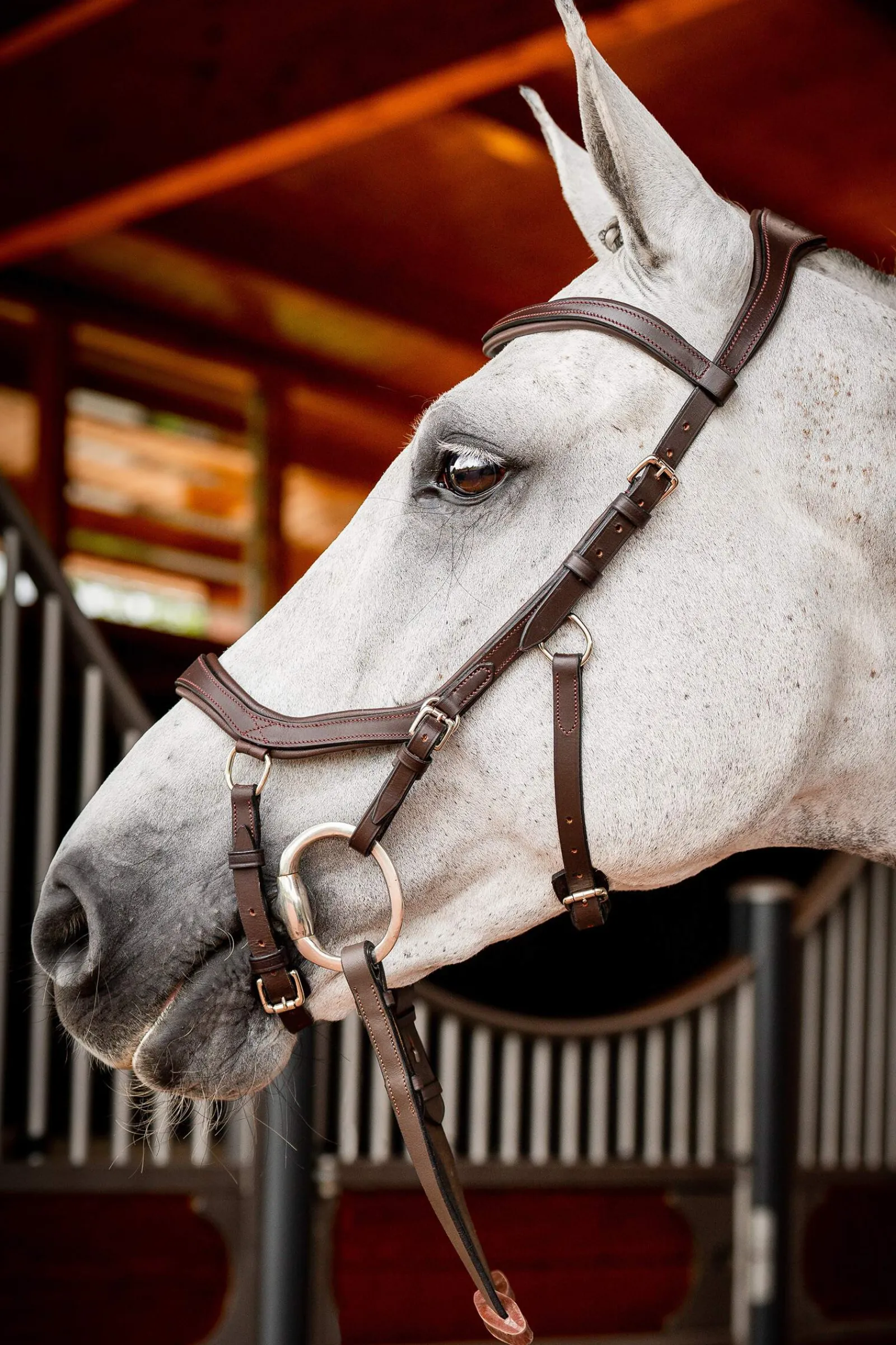 Best Micklem 2 Competition Bridle With Rubber Reins Pony Bridles & Halters|Bridles & Nosebands