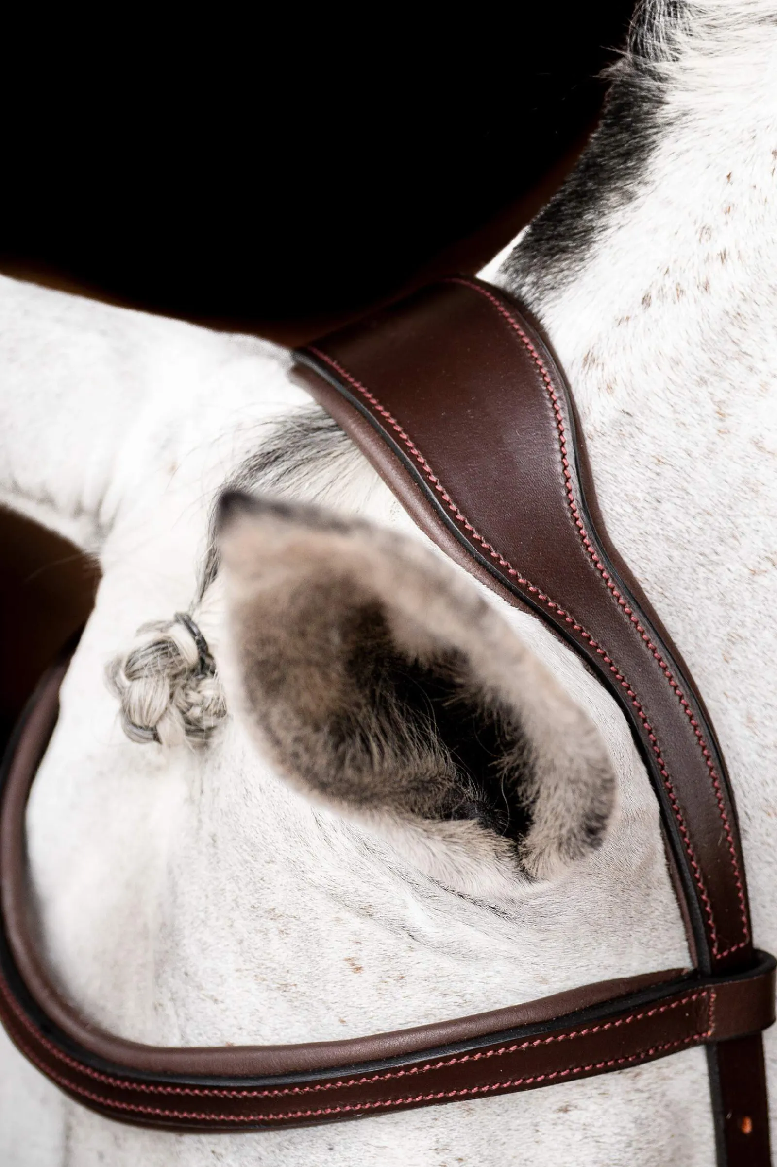 Best Micklem 2 Competition Bridle With Rubber Reins Pony Bridles & Halters|Bridles & Nosebands