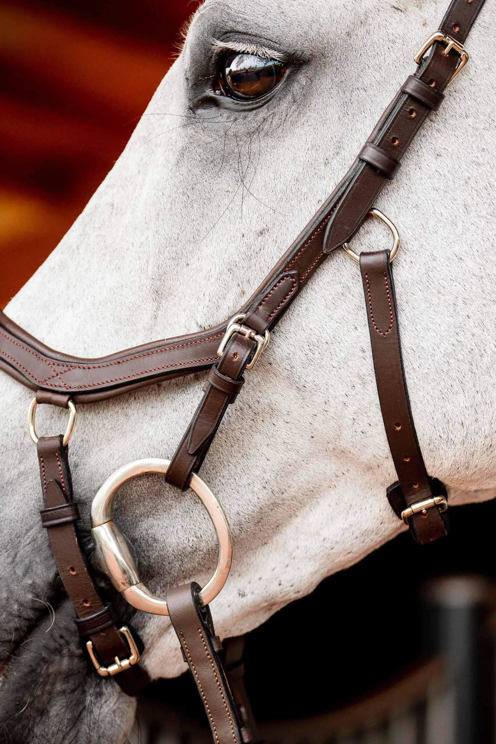 Best Micklem 2 Competition Bridle With Rubber Reins Pony Bridles & Halters|Bridles & Nosebands