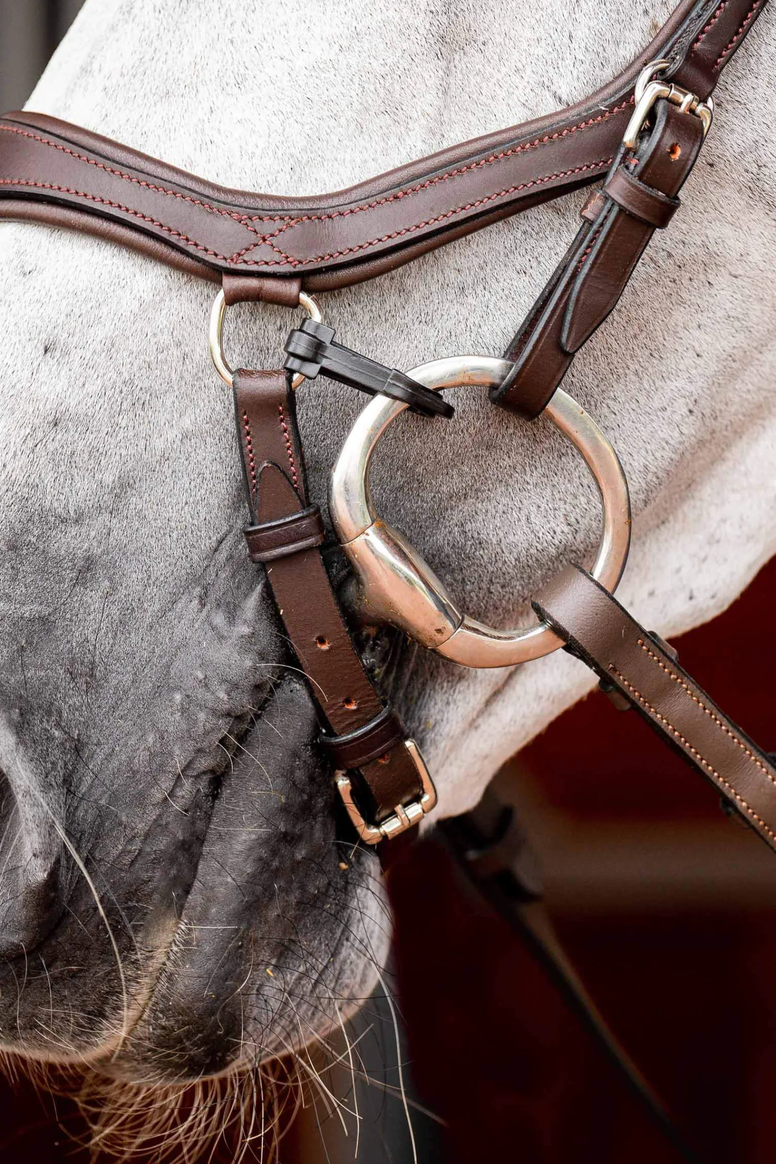 Best Micklem 2 Competition Bridle With Rubber Reins Pony Bridles & Halters|Bridles & Nosebands