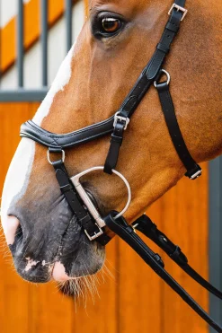 Outlet Micklem 2 Deluxe Competition Bridle Pony Bridles & Halters|Bridles & Nosebands