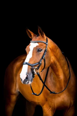 Fashion Micklem 2 Diamante Competition Bridle Pony Bridles & Halters|Bridles & Nosebands