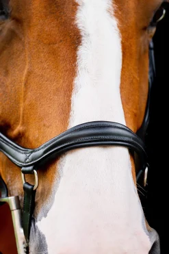 Fashion Micklem 2 Diamante Competition Bridle Pony Bridles & Halters|Bridles & Nosebands