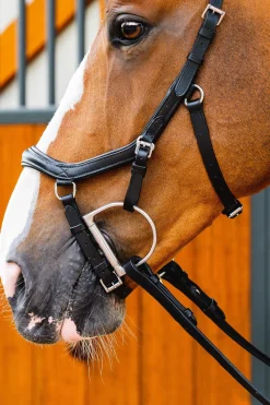 Fashion Micklem 2 Diamante Competition Bridle Pony Bridles & Halters|Bridles & Nosebands