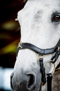 Best Micklem 2 Multi Bridle Pony Bridles & Halters|Bridles & Nosebands
