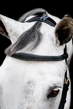 Best Micklem 2 Multi Bridle Pony Bridles & Halters|Bridles & Nosebands