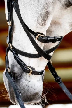 Best Micklem 2 Multi Bridle Pony Bridles & Halters|Bridles & Nosebands