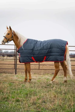 Fashion Mio Insulator Stable Rug, 150g Stable Rugs & Liners