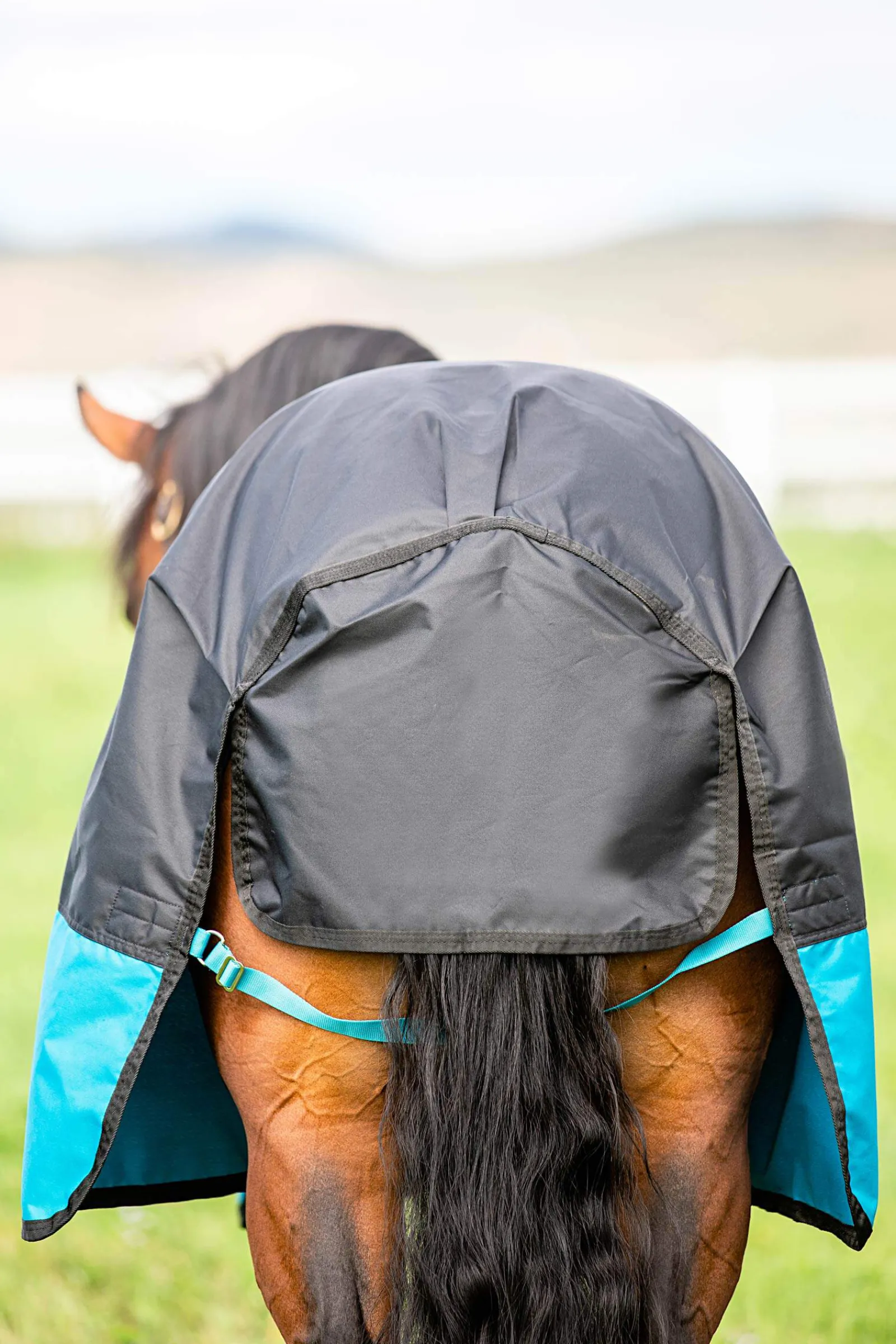 Hot Mio Turnout Rug, 200g Medium & Heavyweight Turnout Rugs