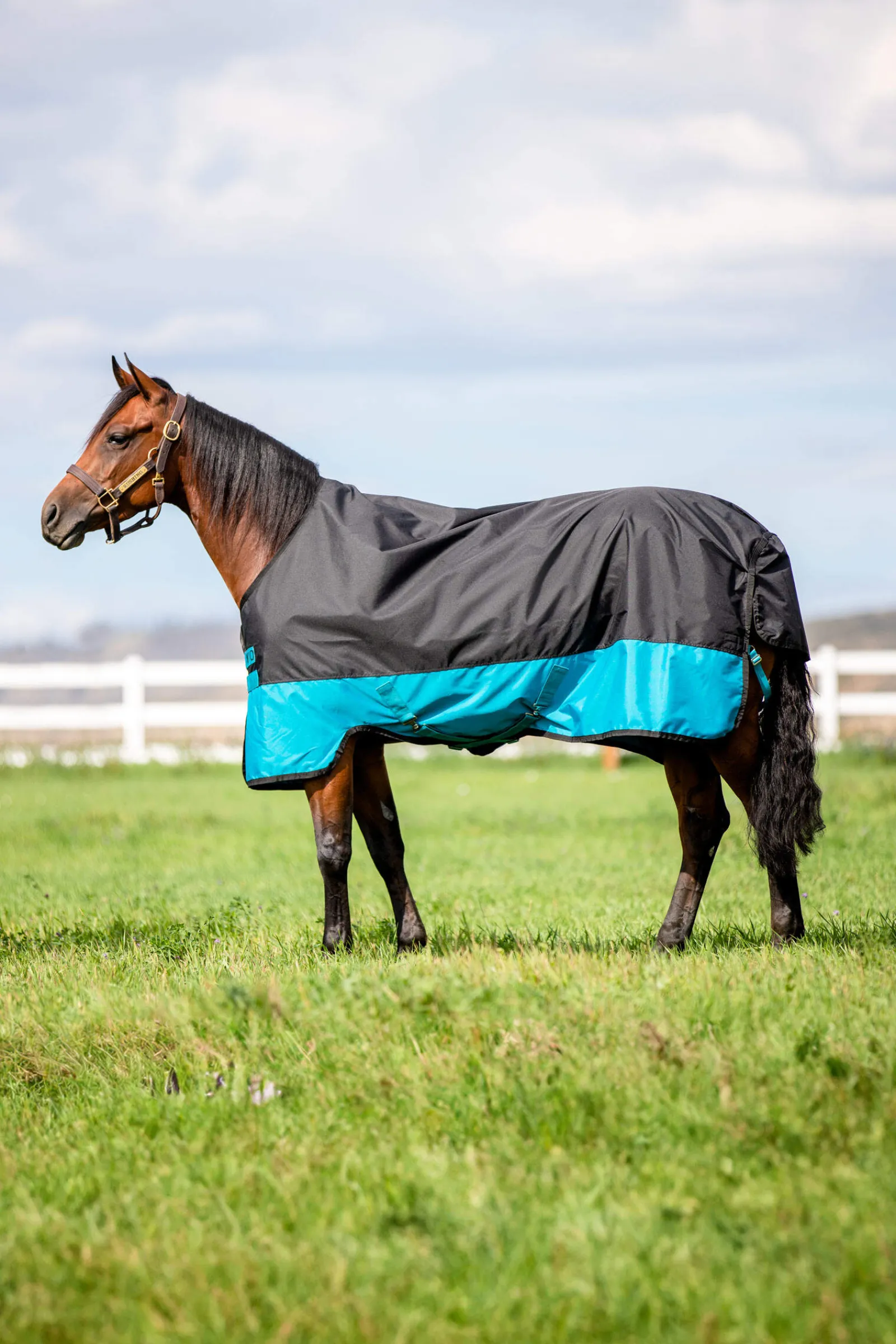 Discount Mio Turnout Rug, 0g Lightweight Turnout Rugs