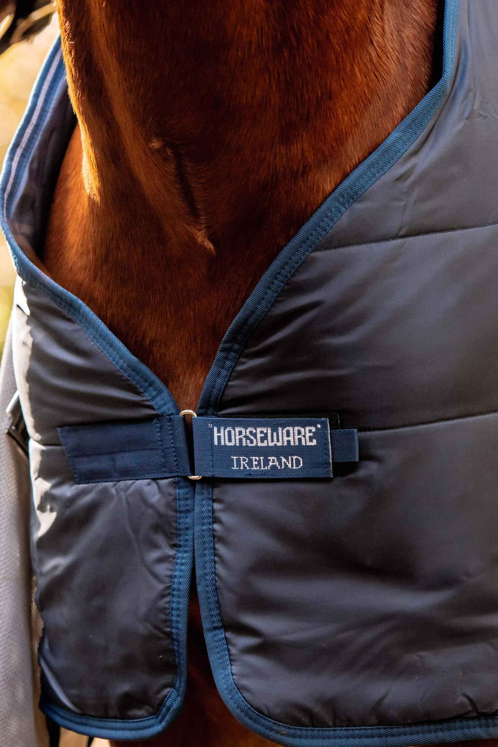 New Rambo Autumn Series Turnout Rug With Liner (0g / 100g) Lightweight Turnout Rugs